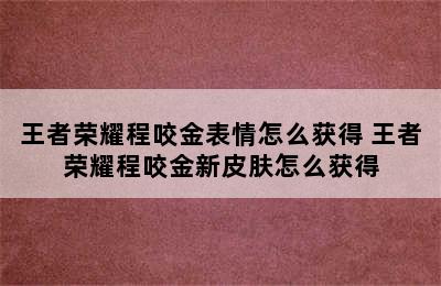 王者荣耀程咬金表情怎么获得 王者荣耀程咬金新皮肤怎么获得